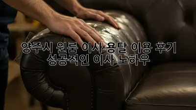 양주시 원룸 이사, 용달 이용 후기: 성공적인 이사 노하우