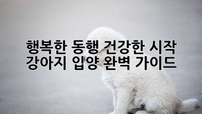 행복한 동행, 건강한 시작: 강아지 입양 완벽 가이드