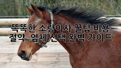 똑똑한 소량이사 꿀팁🍯 비용 절약 & 업체 선택 완벽 가이드!